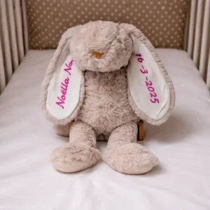 Knuffel konijn met naam beige