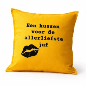kussen juf cadeau