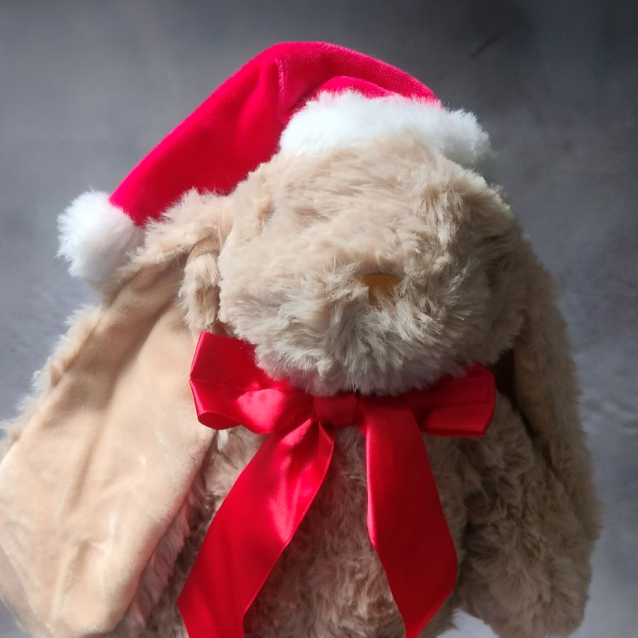 gepersonaliseerd kerstcadeau kind