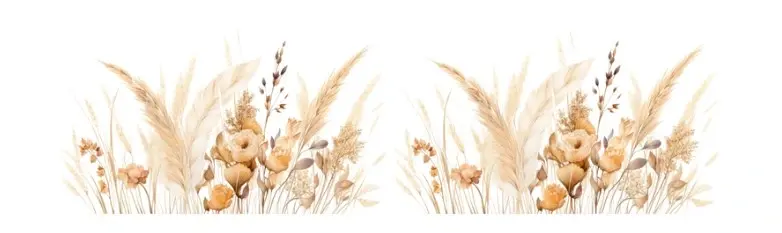 logo ramoontjes plotterfun